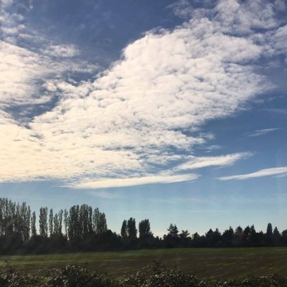 Meet your Posher, Sarbjeet - Picture 1 of 1